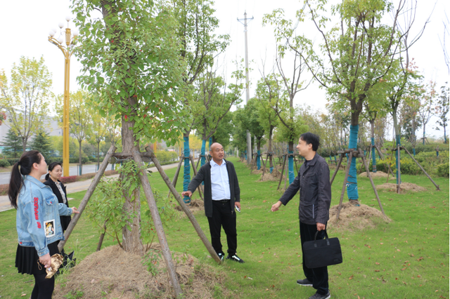 麻城：关注道路绿化工程 助力生态文明建设