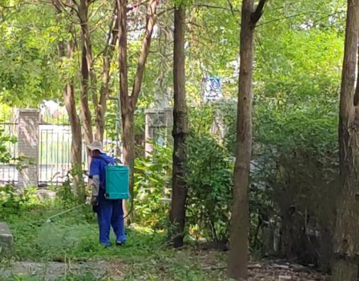 新手做绿化怎么找客户？掌握这5项诀窍让你轻松赚钱