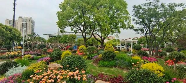 这个“私家花园”突然开放！上海有390座口袋公园，街拍打卡不输武康路