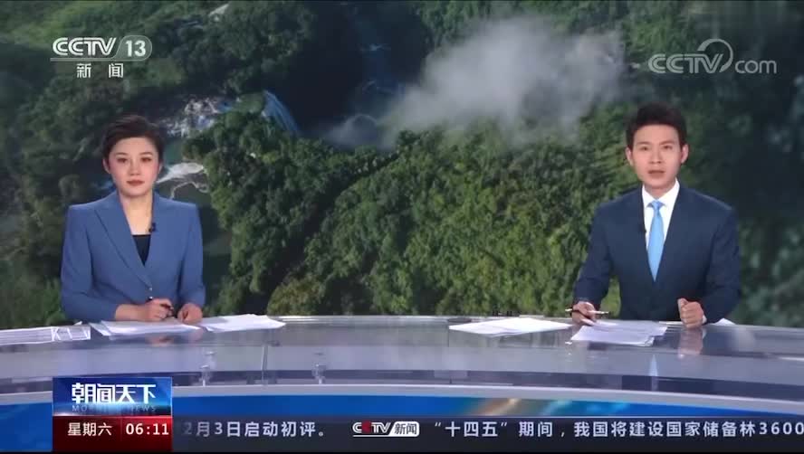 我国天然林面积增加3.23亿亩 国家储备林超9200万亩