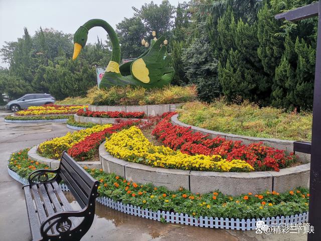 三门峡：13.7万盆鲜花装扮城市迎“双节”