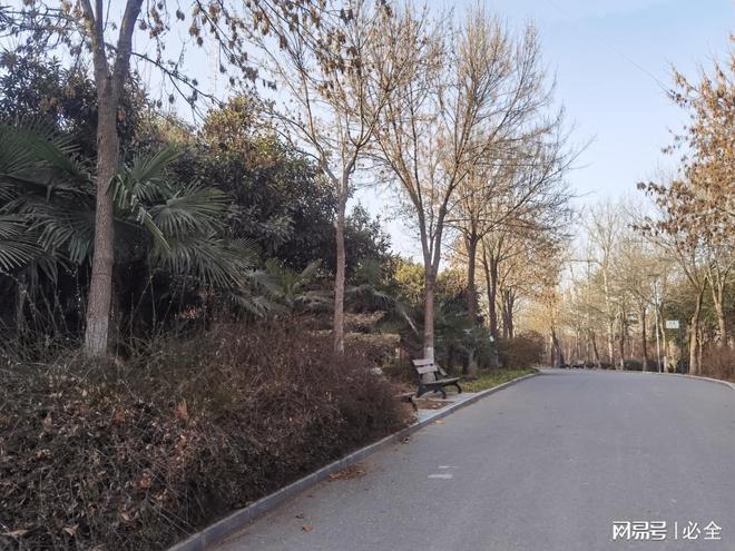 苗木花卉品种在城市道路绿化带中的应用配置