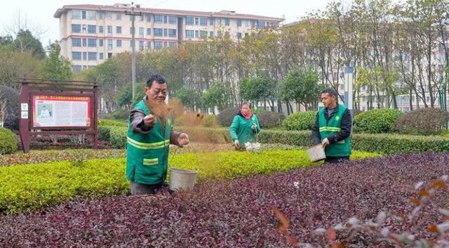 园林绿化养护主要工作 园林绿化养护主要工作