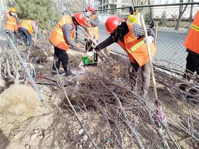 西宁市绿化项目开复工按下“加速键”