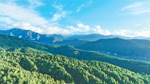「构筑绿色长城·甘肃在行动」书写防沙治沙的甘肃答卷