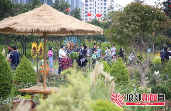 省园林绿化行业第二届花境职业技能竞赛在临沂举办