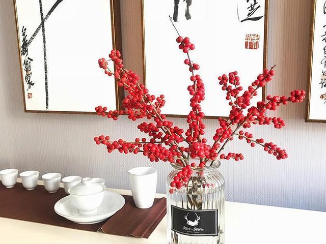 6种“娇贵花”，买之前要做好预算，不过再贵，入手一盆也不亏
