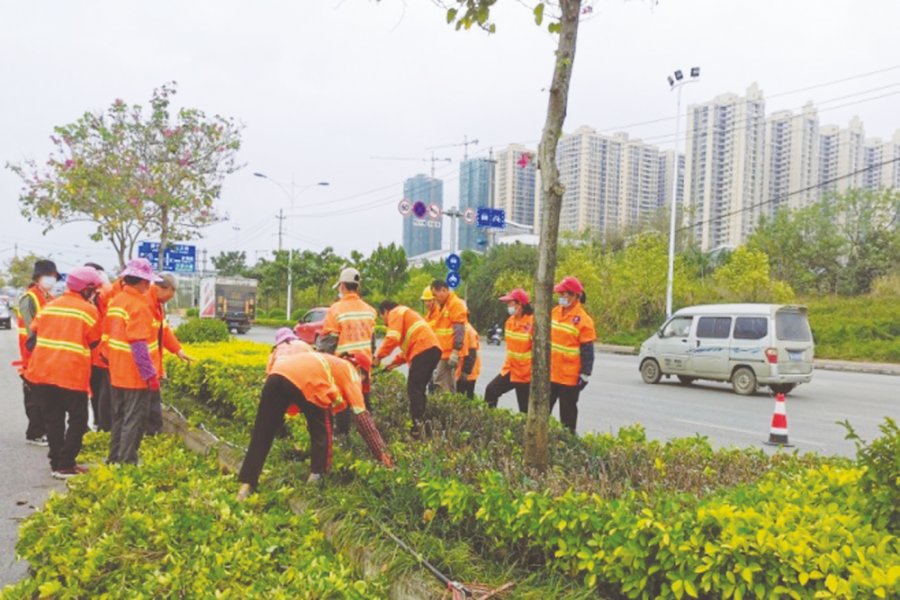 南宁绿化部门针对道路、广场等绿化树木进行系统……