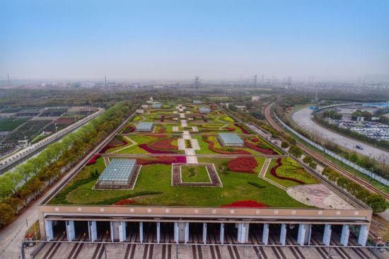 上海公园城市建设中的立体绿化，你知道哪些？