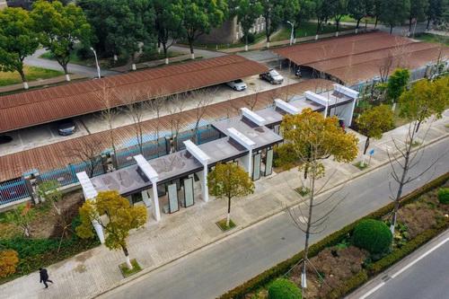 平湖市街头多处绿化容貌升级