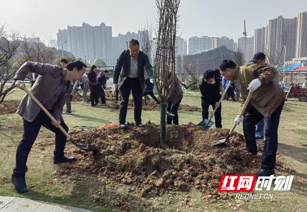绿化校园 美化人生