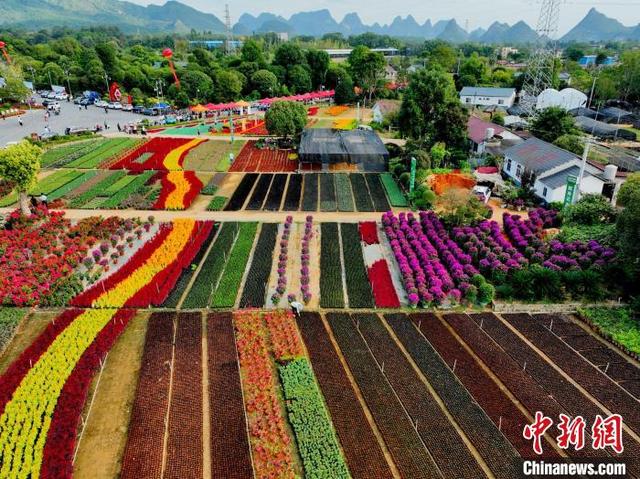 南方花卉苗木交易会：姹紫嫣红桂林城