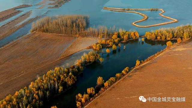 灵宝：黄河湿地风景如画